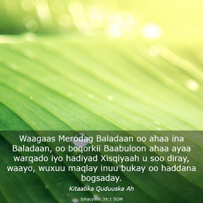 Picture 03 - Ishacyaah 39:1 SOM - Waagaas Merodag Baladaan oo ahaa ina Baladaan, oo - Bible Verse Picture