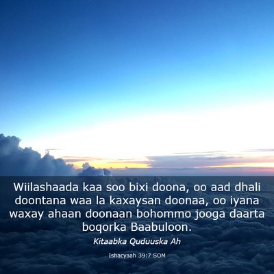 Picture 03 - Ishacyaah 39:7 SOM - Wiilashaada kaa soo bixi doona, oo aad dhali - Bible Verse Picture