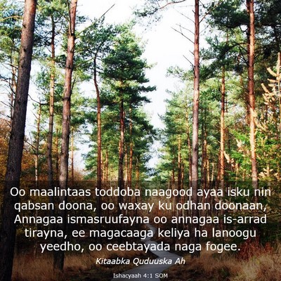 Picture 03 - Ishacyaah 4:1 SOM - Oo maalintaas toddoba naagood ayaa isku nin - Bible Verse Picture
