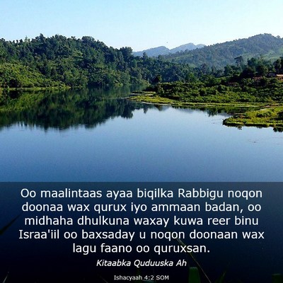 Picture 03 - Ishacyaah 4:2 SOM - Oo maalintaas ayaa biqilka Rabbigu noqon doonaa - Bible Verse Picture