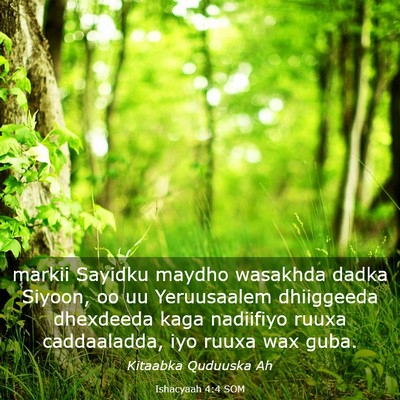 Picture 03 - Ishacyaah 4:4 SOM - markii Sayidku maydho wasakhda dadka Siyoon, oo - Bible Verse Picture