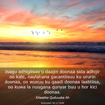 Picture 03 - Ishacyaah 40:11 SOM - Isagu adhigiisuu u daajin doonaa sida adhijir oo - Bible Verse Picture