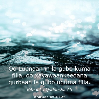 Picture 03 - Ishacyaah 40:16 SOM - Oo Lubnaan in la gubo kuma filla, oo - Bible Verse Picture