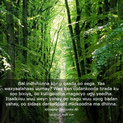 Picture 03 - Ishacyaah 40:26 SOM - Bal indhihiinna kor u qaada oo eega. Yaa - Bible Verse Picture