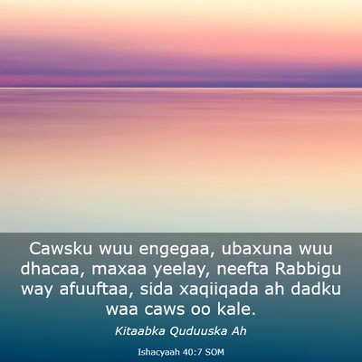 Picture 03 - Ishacyaah 40:7 SOM - Cawsku wuu engegaa, ubaxuna wuu dhacaa, maxaa - Bible Verse Picture