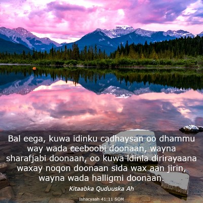 Picture 03 - Ishacyaah 41:11 SOM - Bal eega, kuwa idinku cadhaysan oo dhammu way - Bible Verse Picture