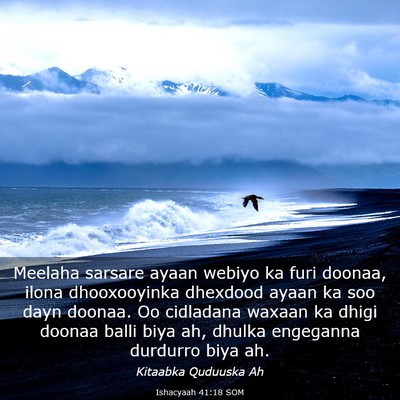 Picture 03 - Ishacyaah 41:18 SOM - Meelaha sarsare ayaan webiyo ka furi doonaa, - Bible Verse Picture