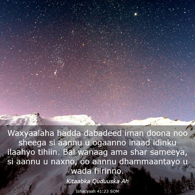 Picture 03 - Ishacyaah 41:23 SOM - Waxyaalaha hadda dabadeed iman doona noo sheega - Bible Verse Picture