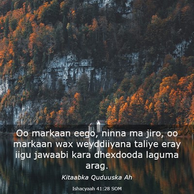 Picture 03 - Ishacyaah 41:28 SOM - Oo markaan eego, ninna ma jiro, oo markaan wax - Bible Verse Picture