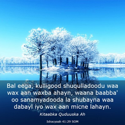 Picture 03 - Ishacyaah 41:29 SOM - Bal eega, kulligood shuqulladoodu waa wax aan - Bible Verse Picture