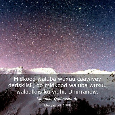 Picture 03 - Ishacyaah 41:6 SOM - Midkood waluba wuxuu caawiyey deriskiisii, oo - Bible Verse Picture