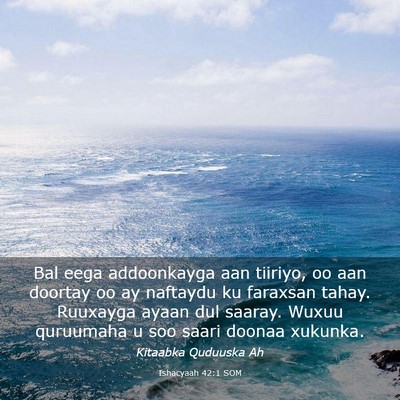 Picture 03 - Ishacyaah 42:1 SOM - Bal eega addoonkayga aan tiiriyo, oo aan doortay - Bible Verse Picture