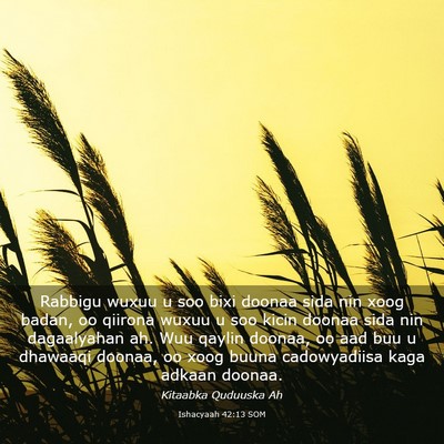 Picture 03 - Ishacyaah 42:13 SOM - Rabbigu wuxuu u soo bixi doonaa sida nin xoog - Bible Verse Picture
