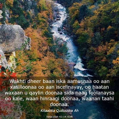 Picture 03 - Ishacyaah 42:14 SOM - Wakhti dheer baan iska aamusnaa oo aan - Bible Verse Picture