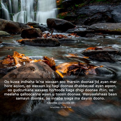 Picture 03 - Ishacyaah 42:16 SOM - Oo kuwa indhaha la'na waxaan soo marsiin doonaa - Bible Verse Picture