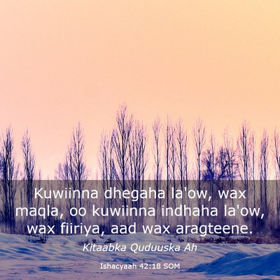 Picture 03 - Ishacyaah 42:18 SOM - Kuwiinna dhegaha la'ow, wax maqla, oo kuwiinna - Bible Verse Picture