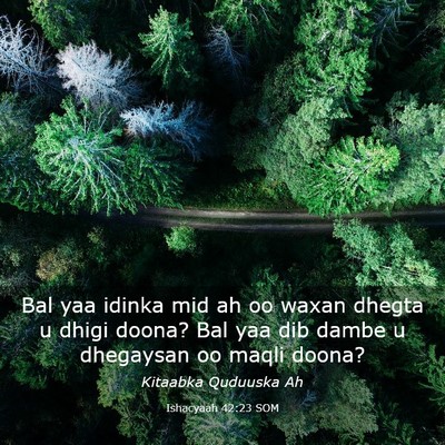 Picture 03 - Ishacyaah 42:23 SOM - Bal yaa idinka mid ah oo waxan dhegta u dhigi - Bible Verse Picture