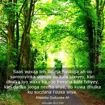 Picture 03 - Ishacyaah 42:5 SOM - Saas waxaa leh Ilaaha Rabbiga ah oo samooyinka - Bible Verse Picture