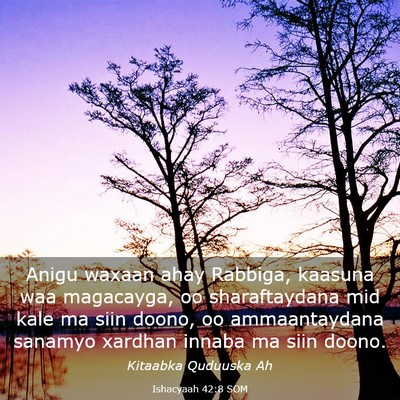 Picture 03 - Ishacyaah 42:8 SOM - Anigu waxaan ahay Rabbiga, kaasuna waa magacayga, - Bible Verse Picture