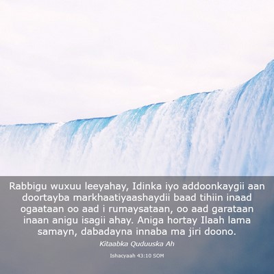 Picture 03 - Ishacyaah 43:10 SOM - Rabbigu wuxuu leeyahay, Idinka iyo addoonkaygii - Bible Verse Picture