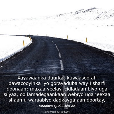 Picture 03 - Ishacyaah 43:20 SOM - Xayawaanka duurka, kuwaasoo ah dawacooyinka iyo - Bible Verse Picture