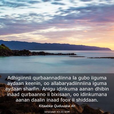 Picture 03 - Ishacyaah 43:23 SOM - Adhigiinnii qurbaannadiinna la gubo iiguma aydaan - Bible Verse Picture