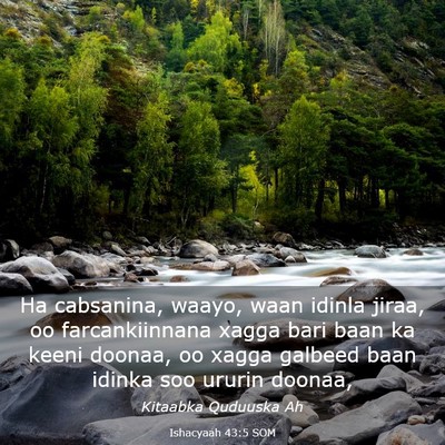 Picture 03 - Ishacyaah 43:5 SOM - Ha cabsanina, waayo, waan idinla jiraa, oo - Bible Verse Picture