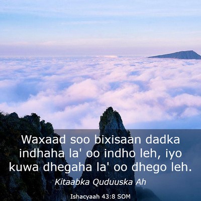 Picture 03 - Ishacyaah 43:8 SOM - Waxaad soo bixisaan dadka indhaha la' oo indho - Bible Verse Picture