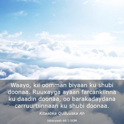 Picture 03 - Ishacyaah 44:3 SOM - Waayo, kii oomman biyaan ku shubi doonaa. - Bible Verse Picture