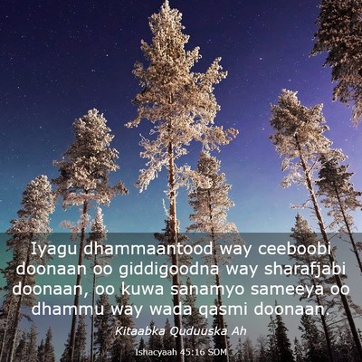 Picture 03 - Ishacyaah 45:16 SOM - Iyagu dhammaantood way ceeboobi doonaan oo - Bible Verse Picture