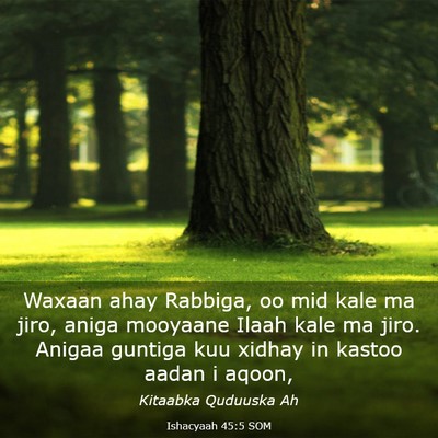 Picture 03 - Ishacyaah 45:5 SOM - Waxaan ahay Rabbiga, oo mid kale ma jiro, aniga - Bible Verse Picture