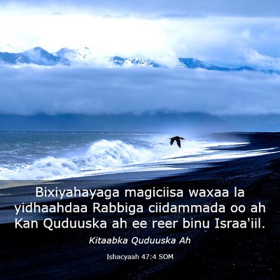 Picture 03 - Ishacyaah 47:4 SOM - Bixiyahayaga magiciisa waxaa la yidhaahdaa - Bible Verse Picture