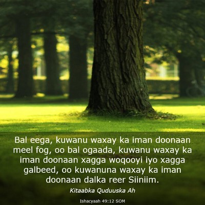 Picture 03 - Ishacyaah 49:12 SOM - Bal eega, kuwanu waxay ka iman doonaan meel fog, - Bible Verse Picture