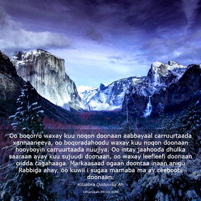 Picture 03 - Ishacyaah 49:23 SOM - Oo boqorro waxay kuu noqon doonaan aabbayaal - Bible Verse Picture