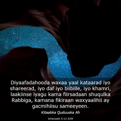 Picture 03 - Ishacyaah 5:12 SOM - Diyaafadahooda waxaa yaal kataarad iyo shareerad, - Bible Verse Picture