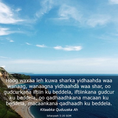 Picture 03 - Ishacyaah 5:20 SOM - Hoog waxaa leh kuwa sharka yidhaahda waa wanaag, - Bible Verse Picture