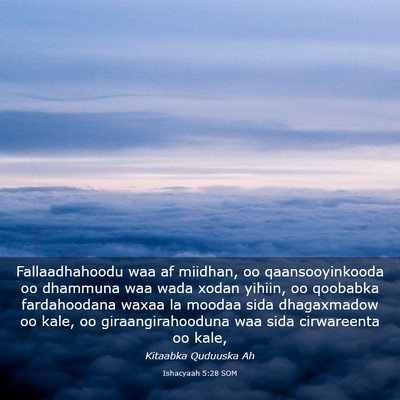 Picture 03 - Ishacyaah 5:28 SOM - Fallaadhahoodu waa af miidhan, oo qaansooyinkooda - Bible Verse Picture