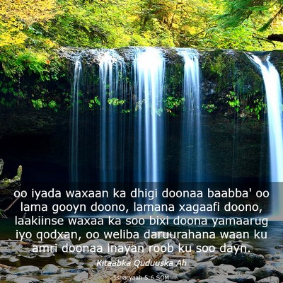 Picture 03 - Ishacyaah 5:6 SOM - oo iyada waxaan ka dhigi doonaa baabba' oo lama - Bible Verse Picture