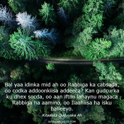 Picture 03 - Ishacyaah 50:10 SOM - Bal yaa idinka mid ah oo Rabbiga ka cabsada, oo - Bible Verse Picture