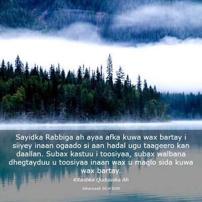 Picture 03 - Ishacyaah 50:4 SOM - Sayidka Rabbiga ah ayaa afka kuwa wax bartay i - Bible Verse Picture