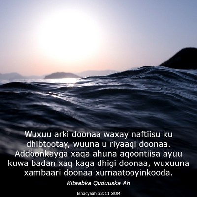Picture 03 - Ishacyaah 53:11 SOM - Wuxuu arki doonaa waxay naftiisu ku dhibtootay, - Bible Verse Picture