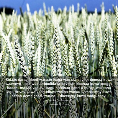 Picture 03 - Ishacyaah 53:12 SOM - Sidaas daraaddeed waxaan isaga wax ula qaybin - Bible Verse Picture