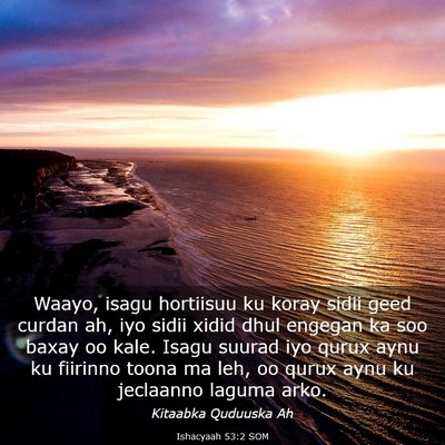 Picture 03 - Ishacyaah 53:2 SOM - Waayo, isagu hortiisuu ku koray sidii geed curdan - Bible Verse Picture