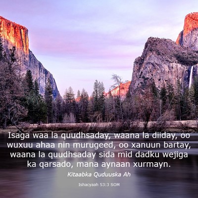 Picture 03 - Ishacyaah 53:3 SOM - Isaga waa la quudhsaday, waana la diiday, oo - Bible Verse Picture