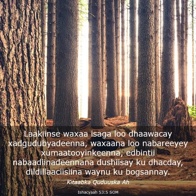 Picture 03 - Ishacyaah 53:5 SOM - Laakiinse waxaa isaga loo dhaawacay - Bible Verse Picture