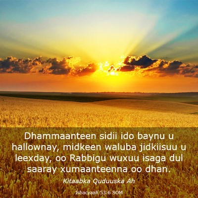 Picture 03 - Ishacyaah 53:6 SOM - Dhammaanteen sidii ido baynu u hallownay, midkeen - Bible Verse Picture