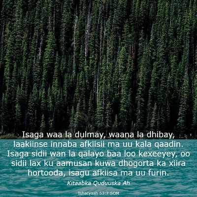 Picture 03 - Ishacyaah 53:7 SOM - Isaga waa la dulmay, waana la dhibay, laakiinse - Bible Verse Picture