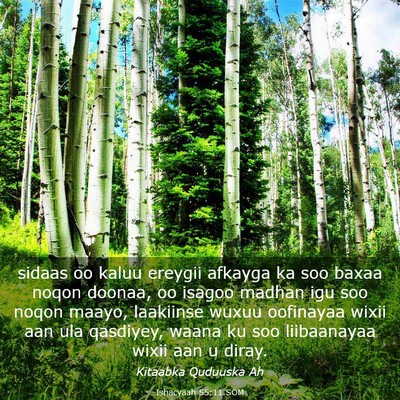 Picture 03 - Ishacyaah 55:11 SOM - sidaas oo kaluu ereygii afkayga ka soo baxaa - Bible Verse Picture