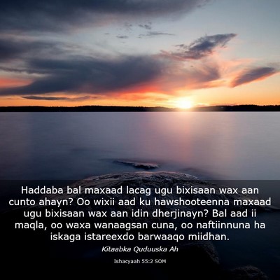 Picture 03 - Ishacyaah 55:2 SOM - Haddaba bal maxaad lacag ugu bixisaan wax aan - Bible Verse Picture