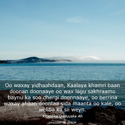 Picture 03 - Ishacyaah 56:12 SOM - Oo waxay yidhaahdaan, Kaalaya khamri baan doonan - Bible Verse Picture
